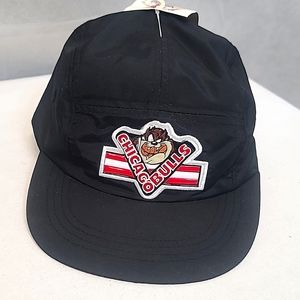 1993 Vintage Taz Looney Tunes Chicago Bulls Adjustable Cap